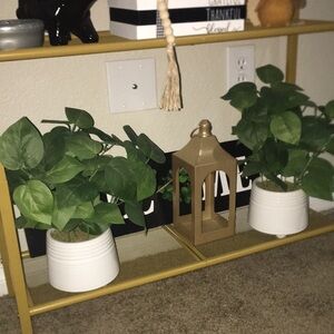 Greenery Decor White Potted Plant